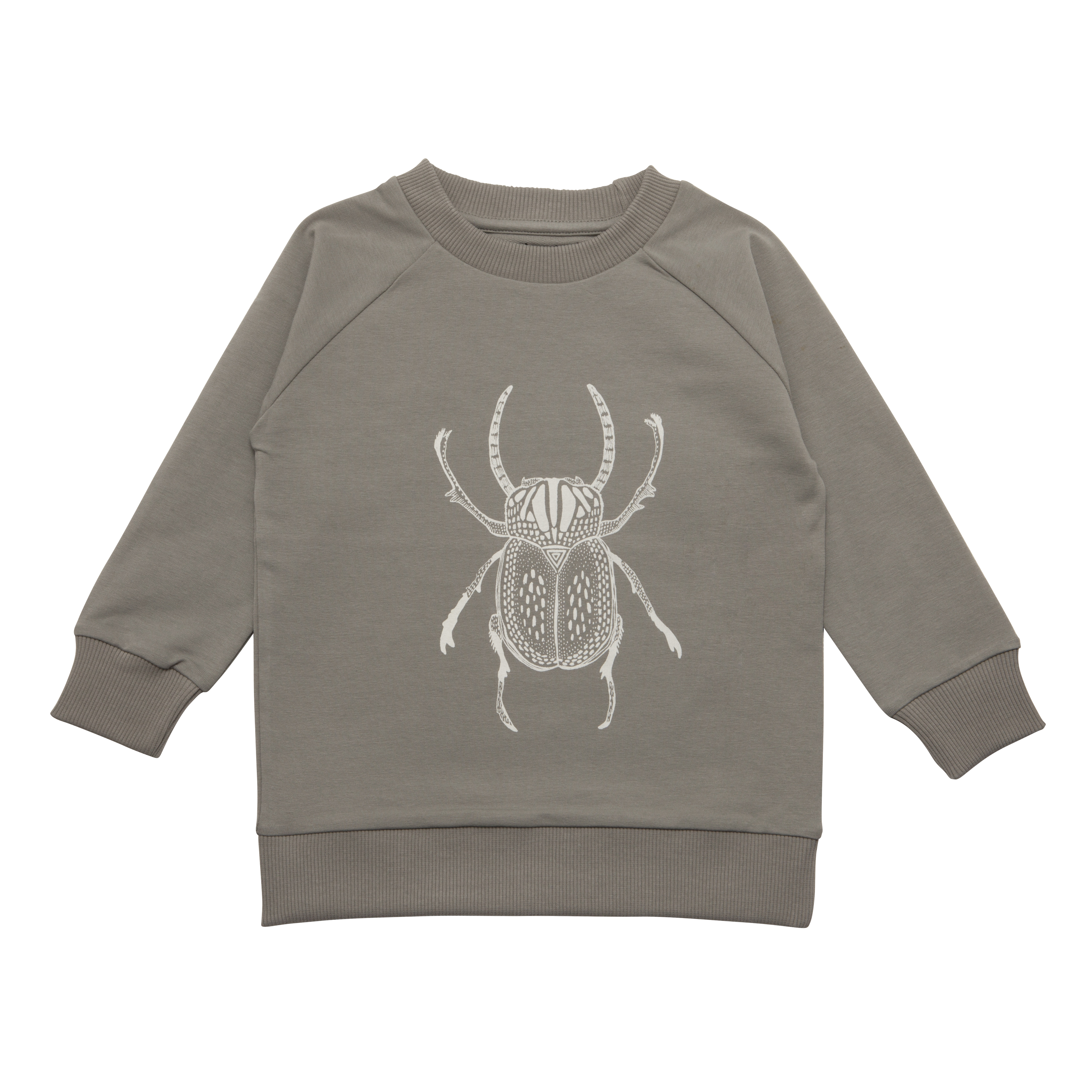 Beetle sweater
